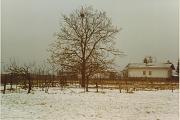 Inverno 1996-97
